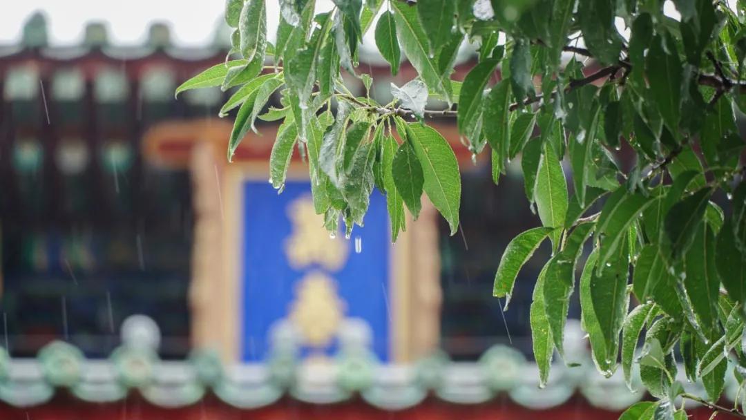 关于秋雨的诗句60句，又是凉风暮雨天