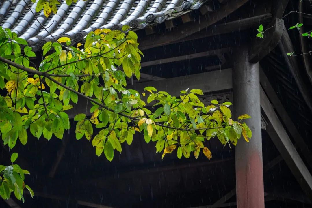 关于秋雨的诗句60句，又是凉风暮雨天