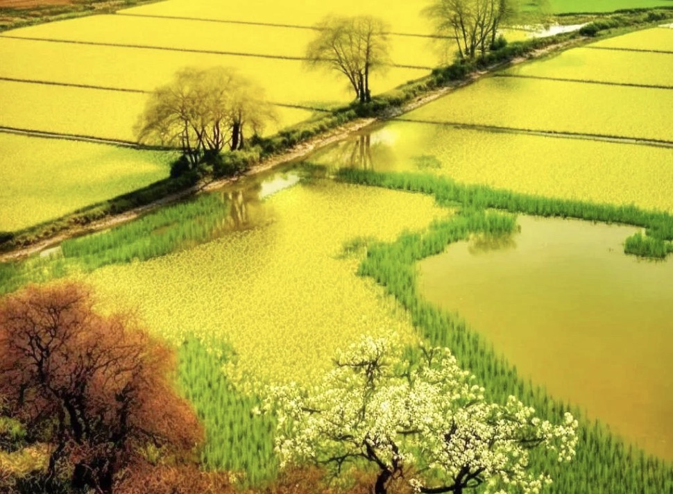 描写田园风光的诗40首，炊烟袅袅，美到心醉