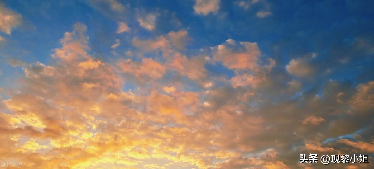 成长优美句子25句，希望努力过后，都是晴朗