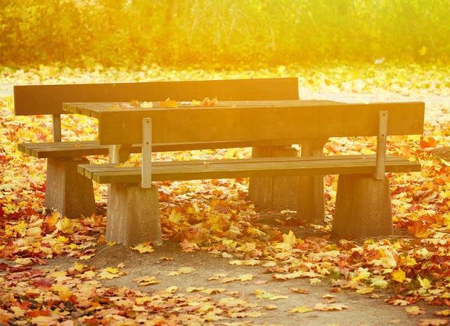 秋天唯美诗意句子15句，秋天原来这么美