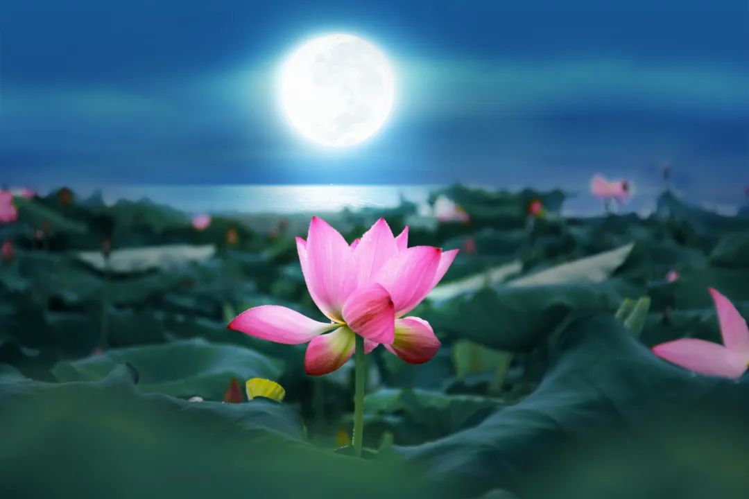 中秋诗句古诗10首，明月寄相思，天涯共此时!