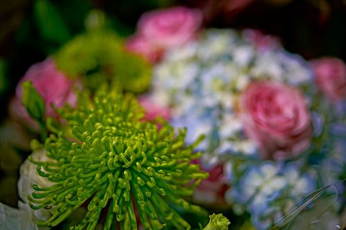 暖心又会关心人的句子16句，看完心里暖暖的