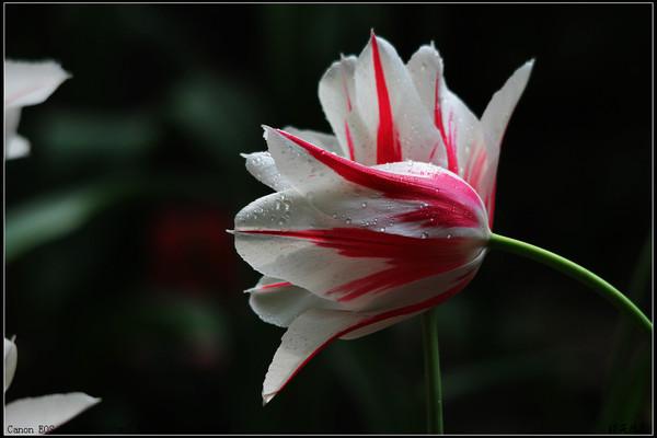 暖心又会关心人的句子16句，看完心里暖暖的