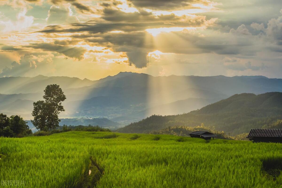 暖心人生格言16句，治愈疲惫的灵魂