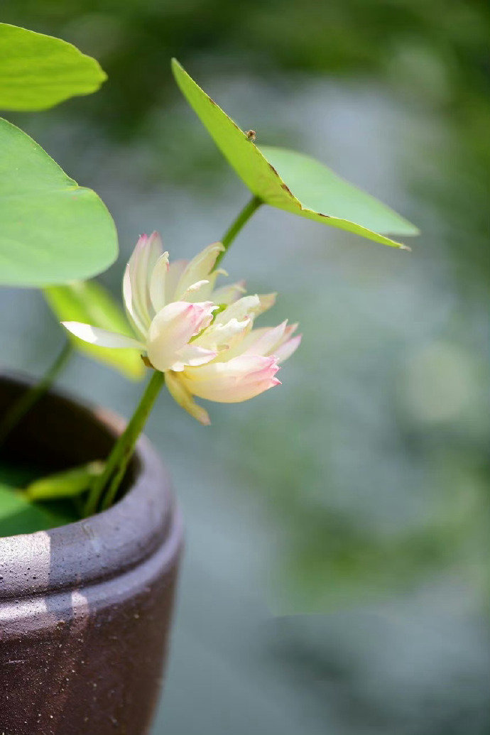 珍爱生命句子30句，珍惜生命，别让时间白白流逝!