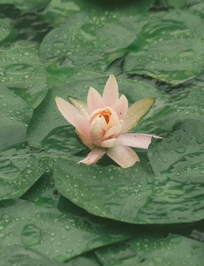 珍爱生命句子30句，珍惜生命，别让时间白白流逝!