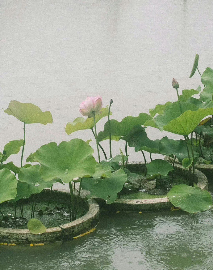 珍爱生命句子30句，珍惜生命，别让时间白白流逝!