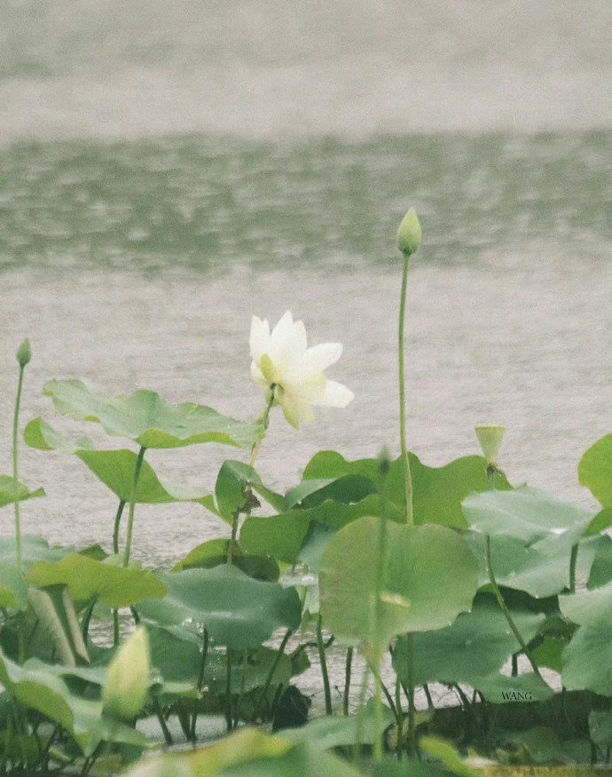 珍爱生命句子30句，珍惜生命，别让时间白白流逝!