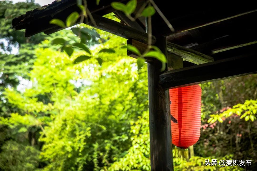 关于友情的古诗9首，写尽友情，传唱千古!