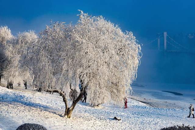 家乡风景句子13句，唤醒心底的乡愁!