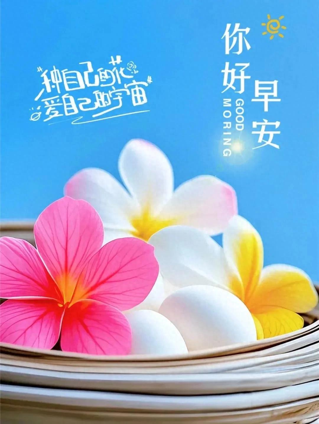 正能量励志句子6句，用心去感受每一个瞬间