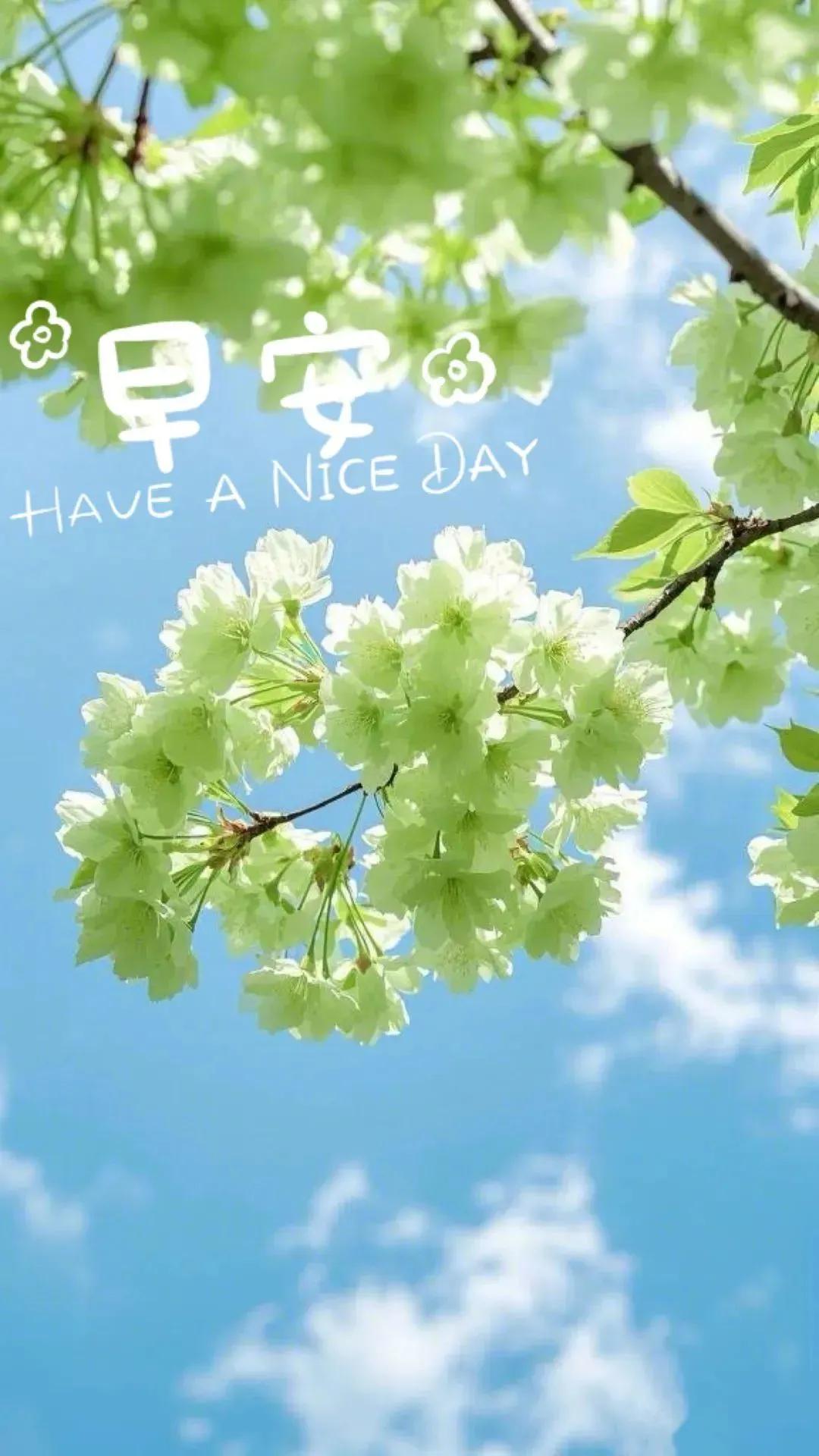 正能量励志句子6句，用心去感受每一个瞬间