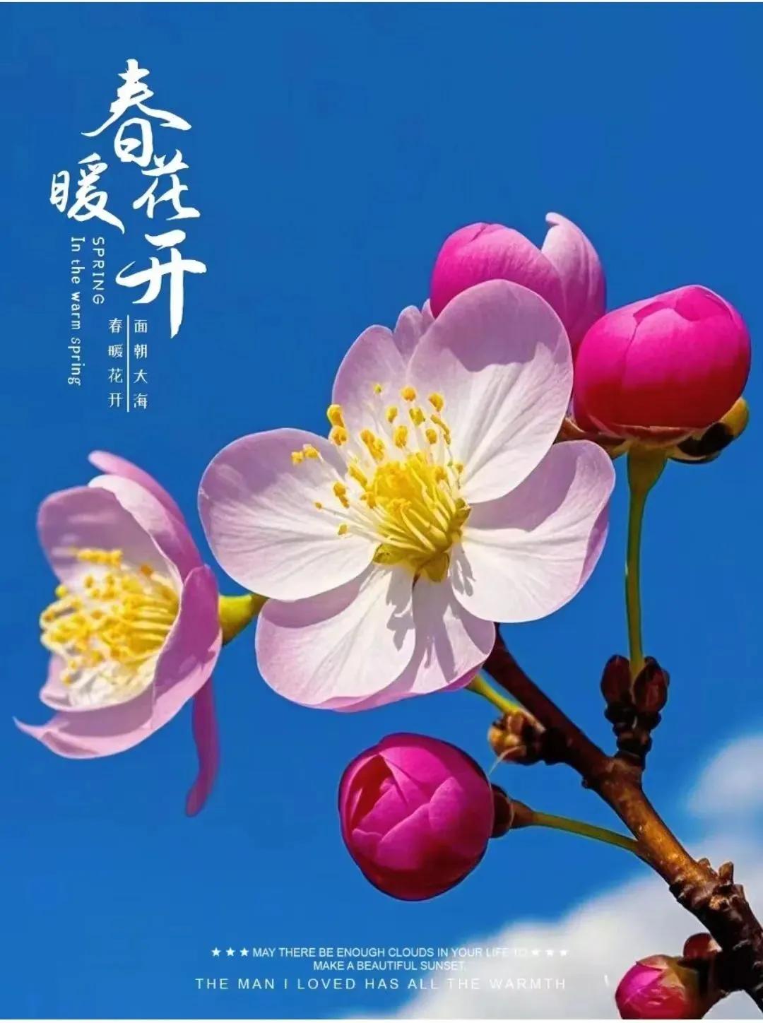 正能量励志句子6句，用心去感受每一个瞬间