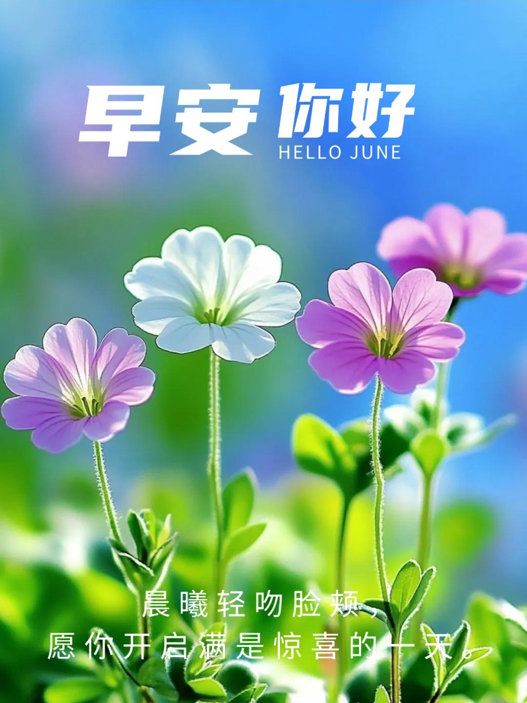 正能量励志句子6句，用心去感受每一个瞬间