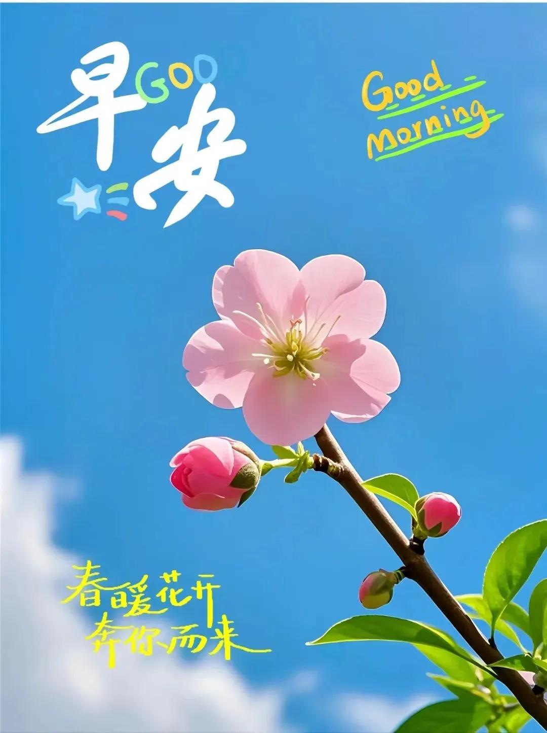 正能量励志句子6句，用心去感受每一个瞬间