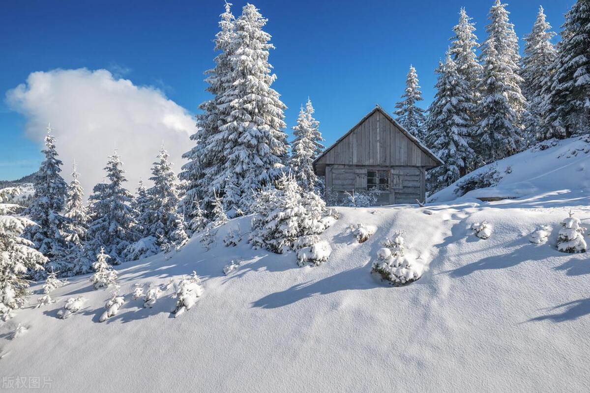 赞美雪的唯美句子17句，让你的冬日更添诗意