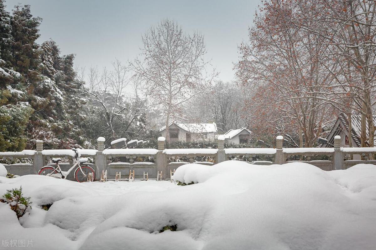 赞美雪的唯美句子17句，让你的冬日更添诗意