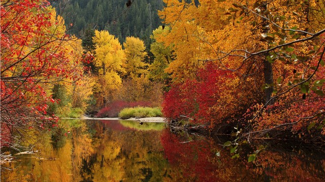 描写秋天美的句子13句，藏尽人间秋色!