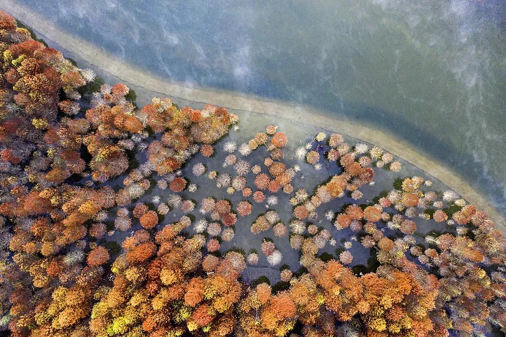 初冬的唯美诗句10首，让冬日不再寒冷