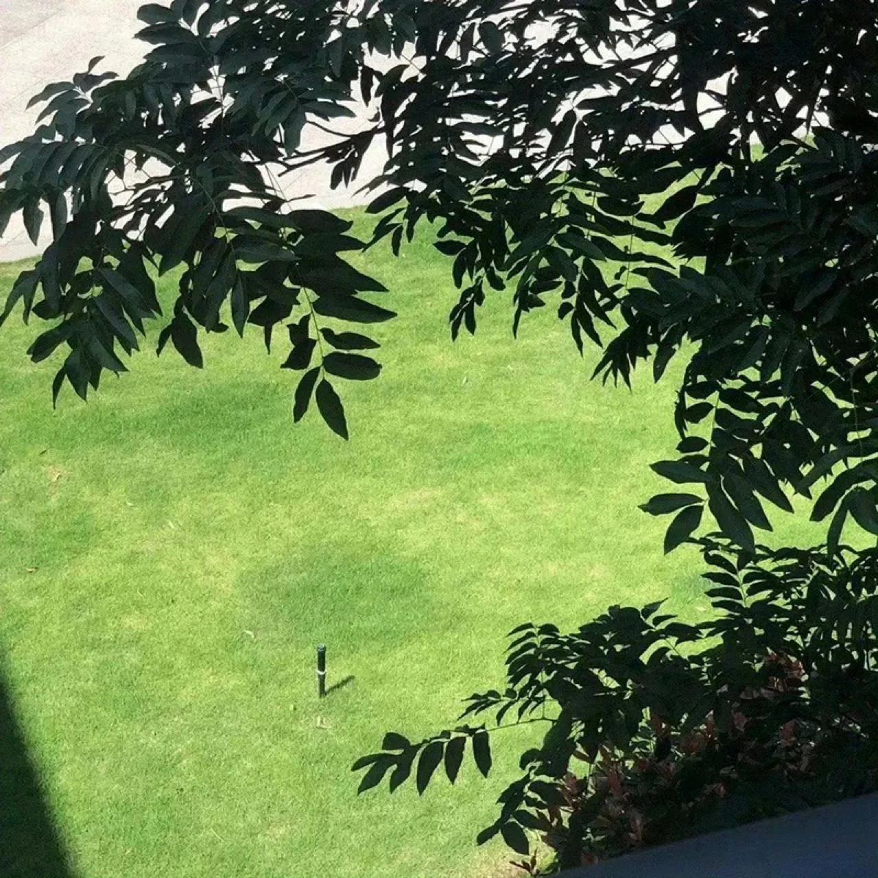 人生的励志句子30句，人生没有白走的路