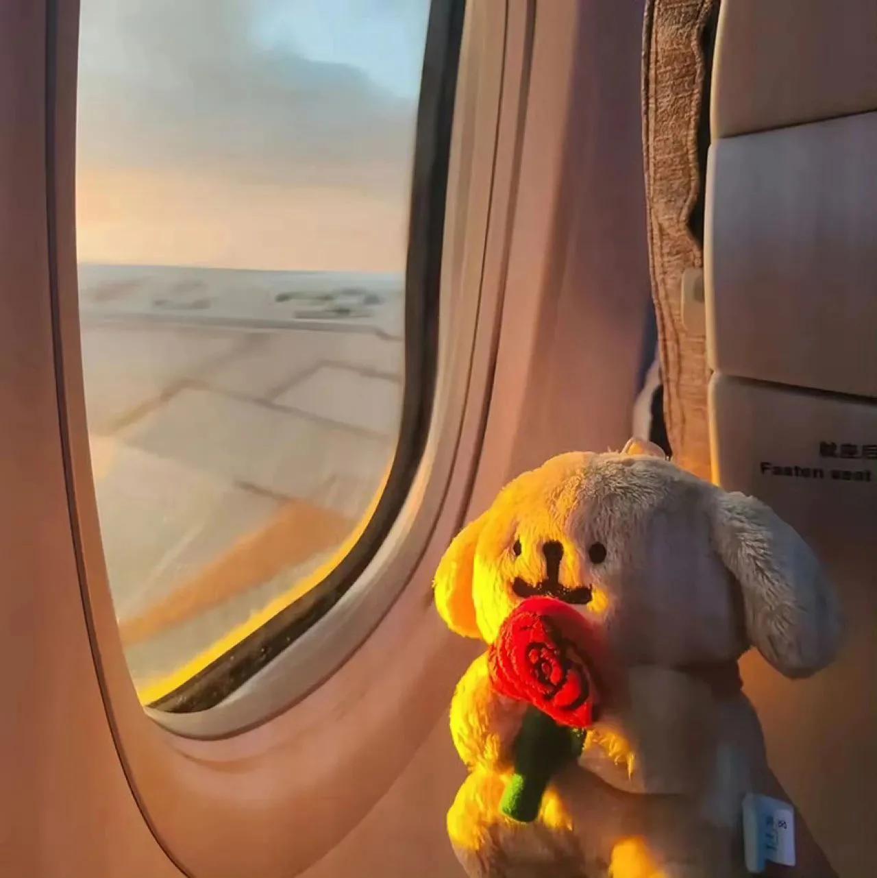 人生的励志句子30句，人生没有白走的路