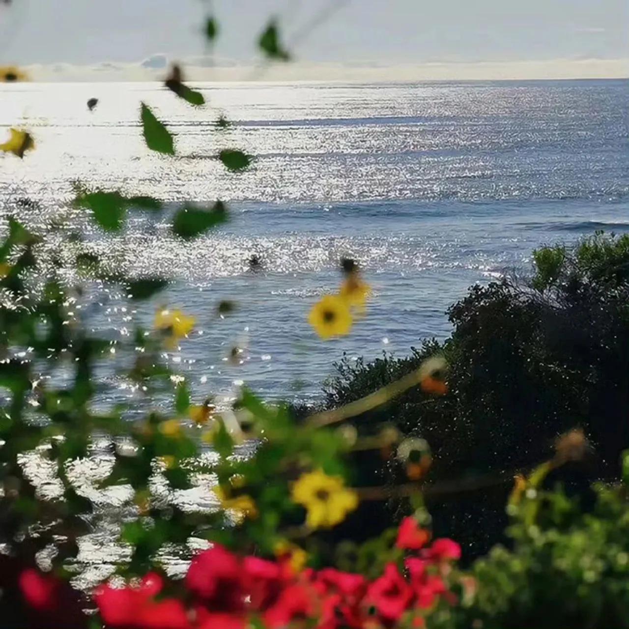 人生的励志句子30句，人生没有白走的路