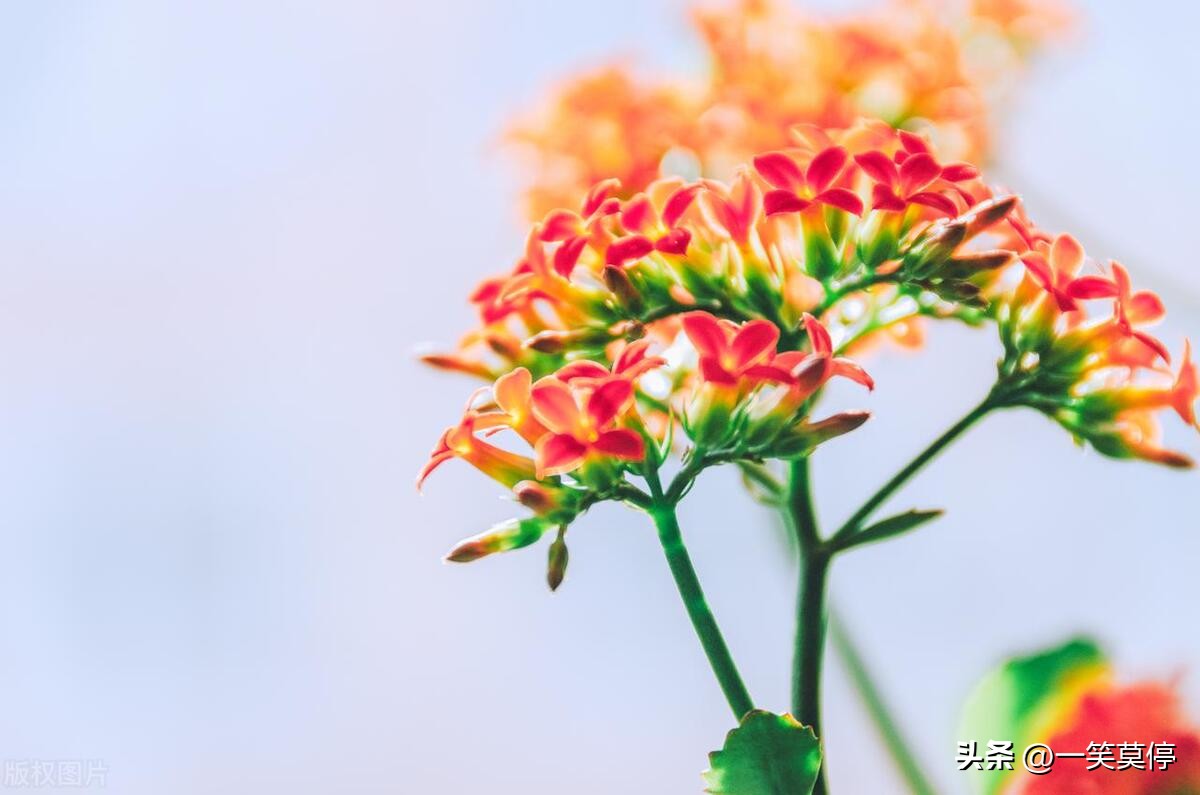 打动人心的个性签名20句，句句都写进心坎里