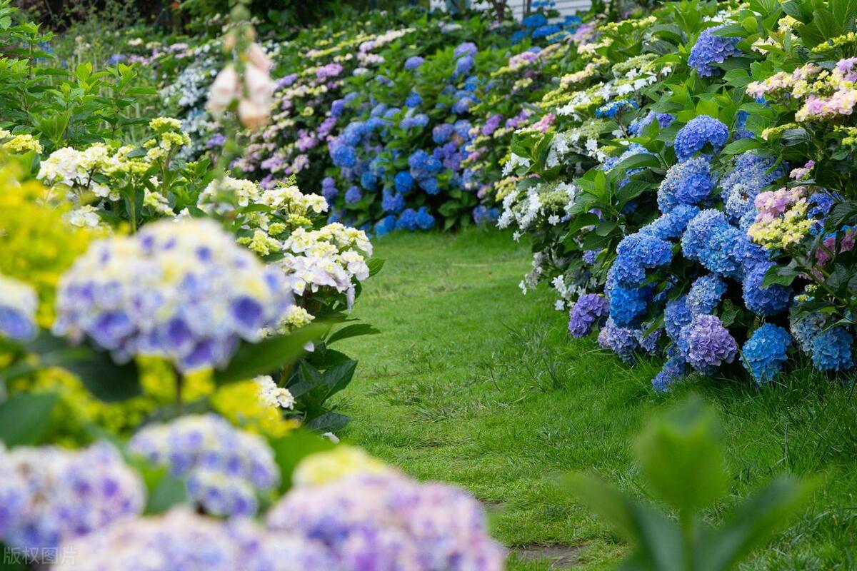 致逝去的青春唯美句子18句，铭记那些美好时光!