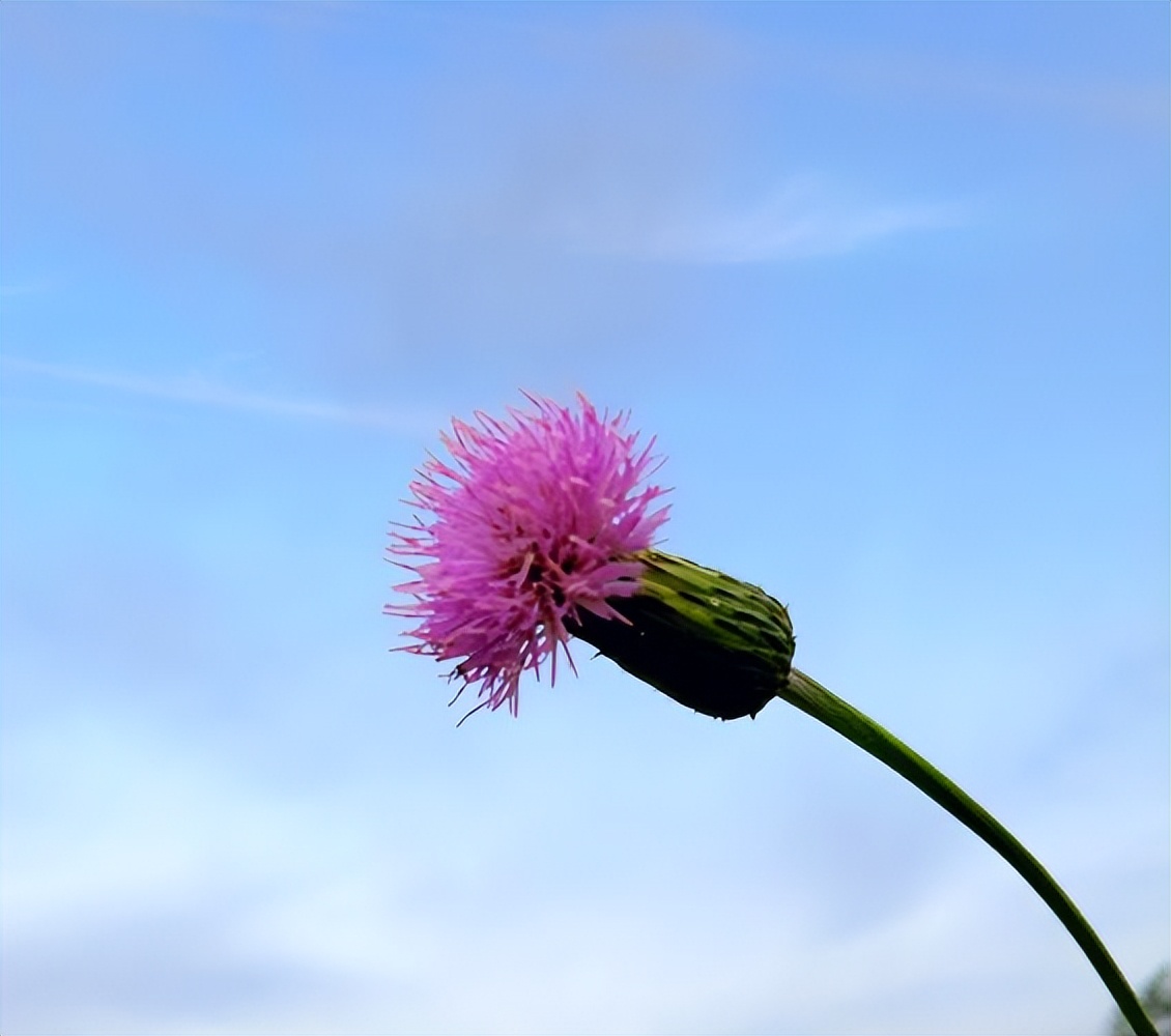 致逝去的青春唯美句子18句，铭记那些美好时光!