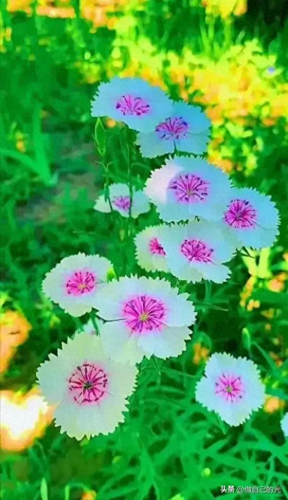 励志句子致自己12句，让人努力奋斗