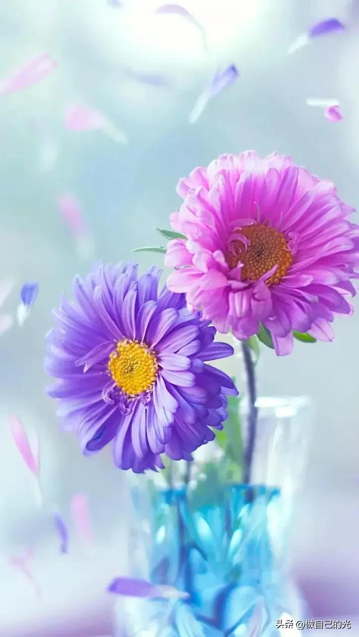 励志句子致自己12句，让人努力奋斗