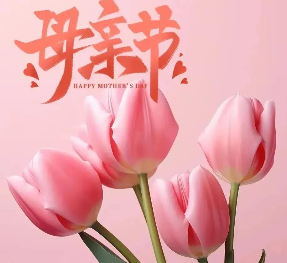 感恩母亲的句子10句，天地之间，母爱最真