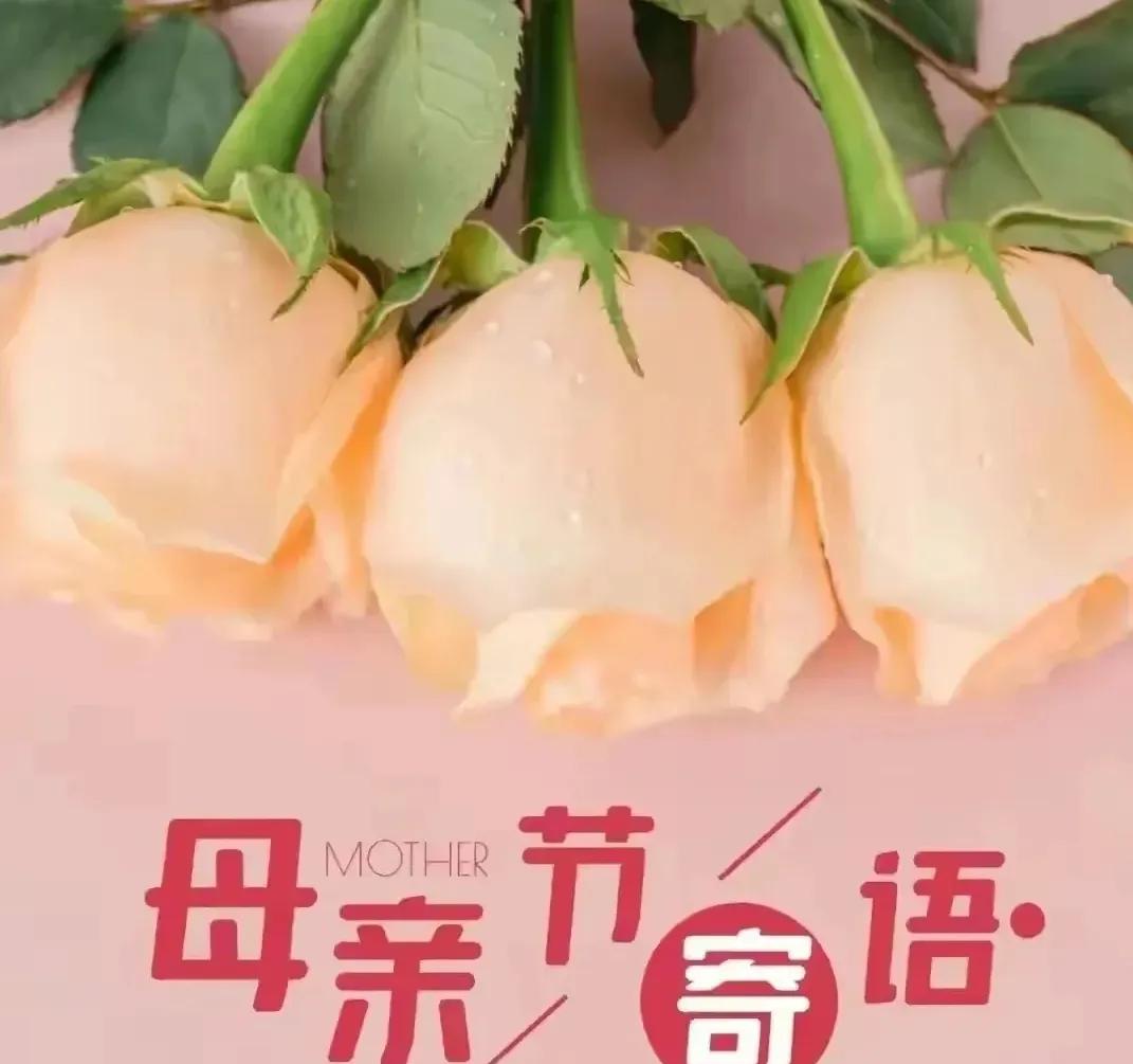 感恩母亲的句子10句，天地之间，母爱最真