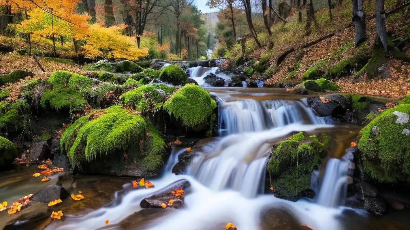 风景优美的句子10句，让你心动不已!