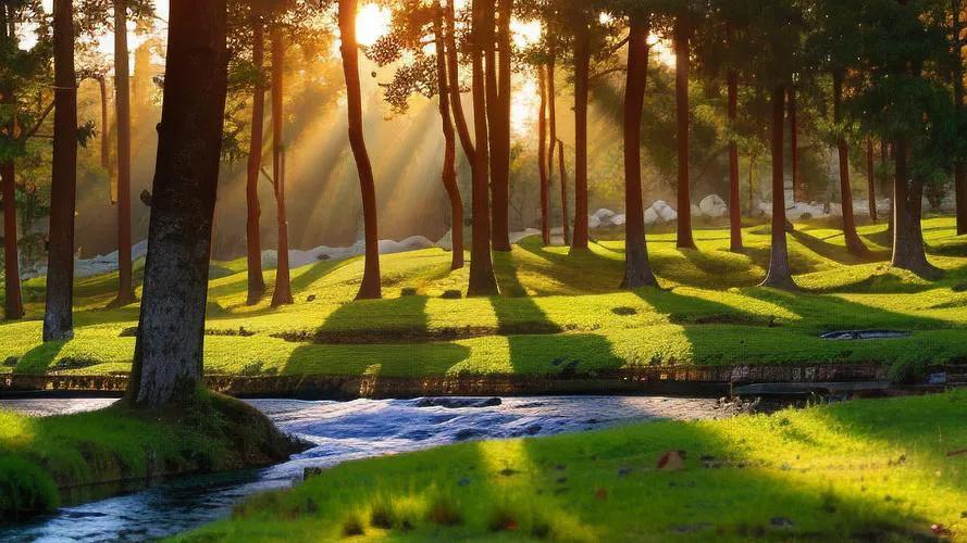 风景优美的句子10句，让你心动不已!