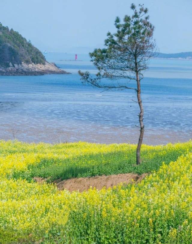 关于花的诗句唯美10句，字字如珠，美到心间!