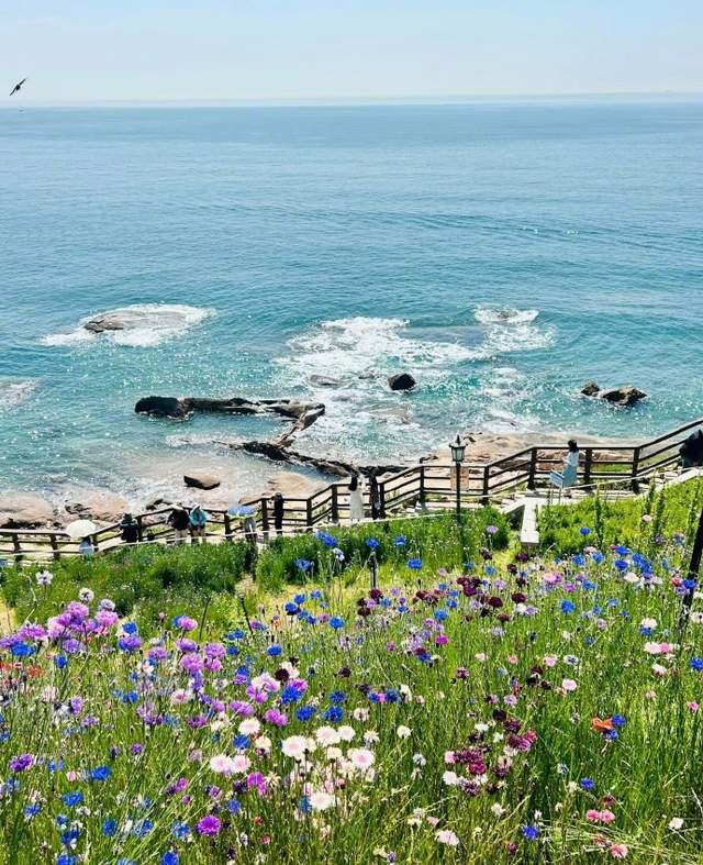 关于花的诗句唯美10句，字字如珠，美到心间!