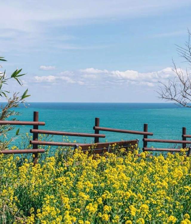 关于花的诗句唯美10句，字字如珠，美到心间!