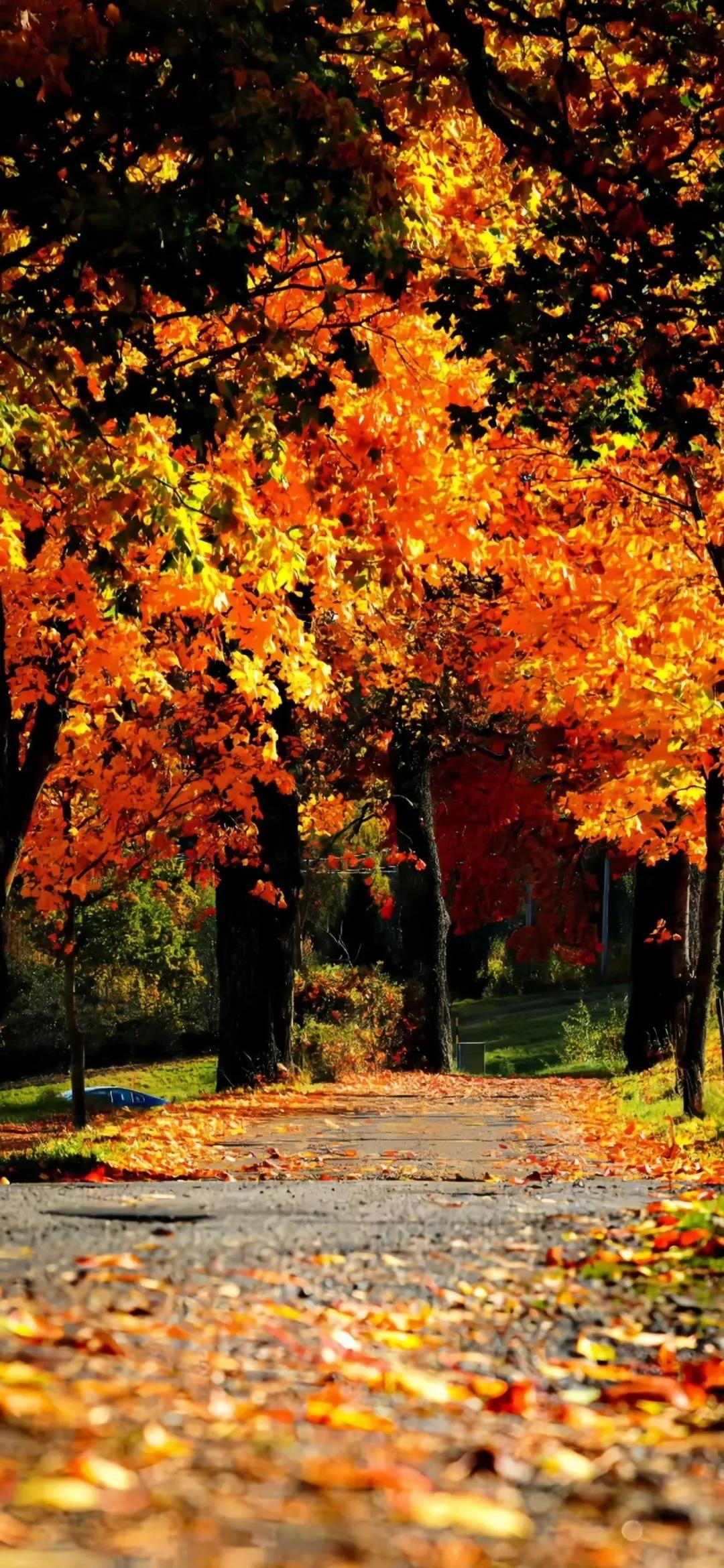 天冷人心暖的经典语录20句，愿你天寒有人暖，岁岁有人念