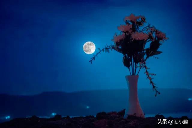 关于月亮的句子11句，让你迷醉在月光的浪漫中