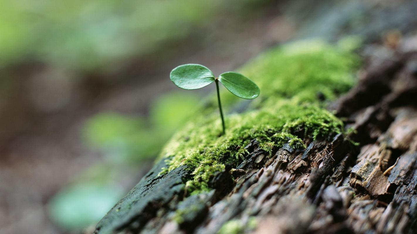 未来可期的短句唯美15句，点亮你前行的每一步！