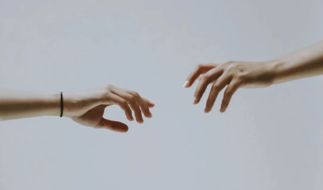 我想握住你的手作文800字（初中优秀习作）