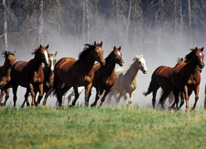 经典爱国诗句10首，字字珠玑，人生必读!