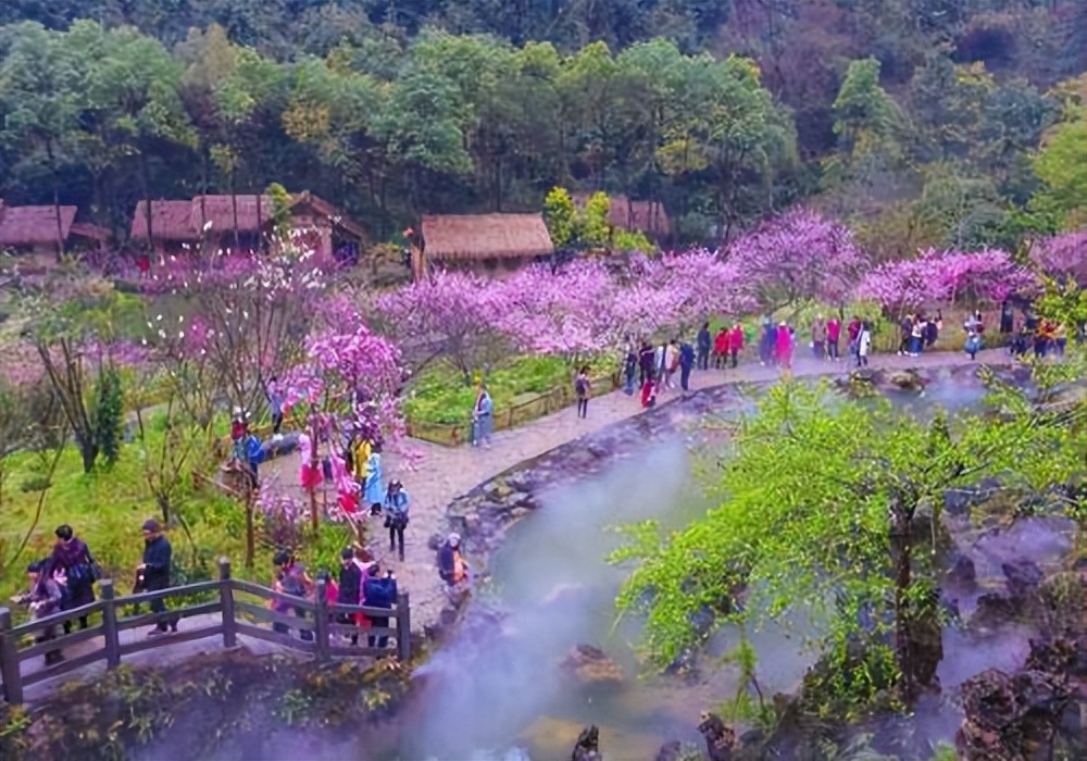 形容桃花的诗句12句，看古人如何写尽春色浪漫