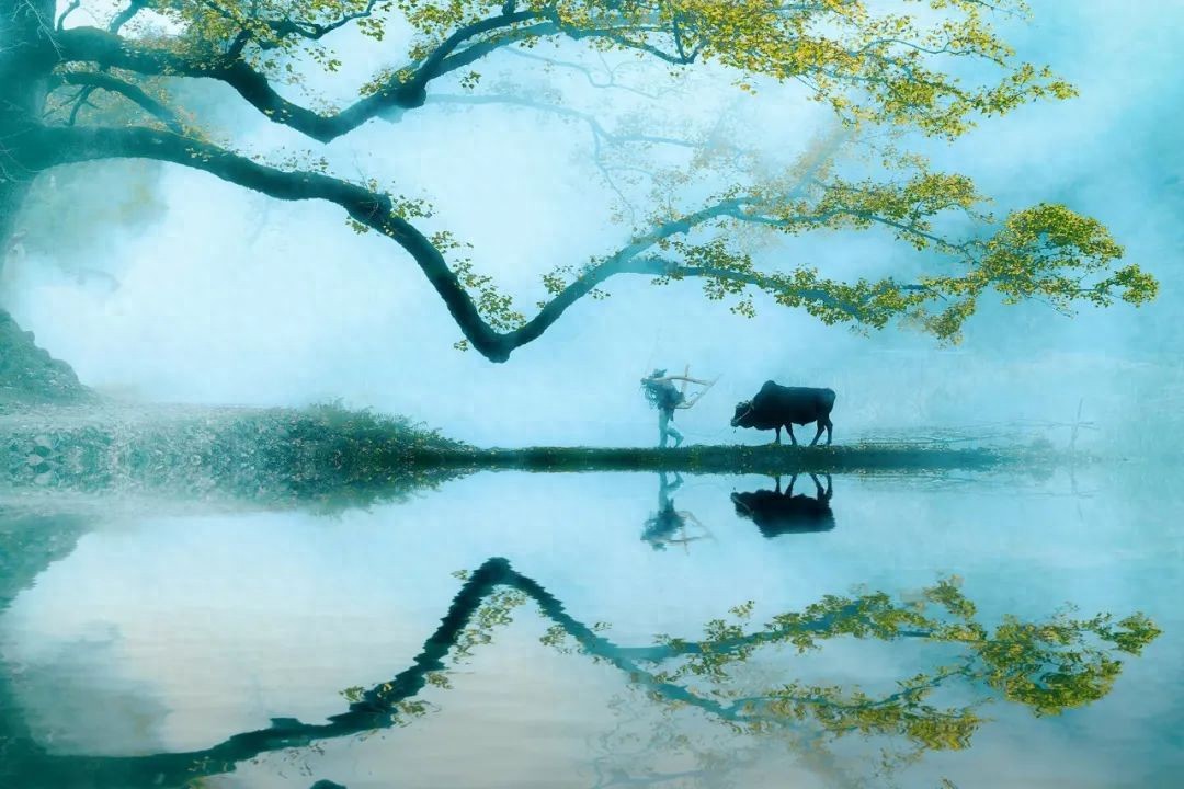 著名的山水田园诗10首，宁静恬淡，美到令人心醉