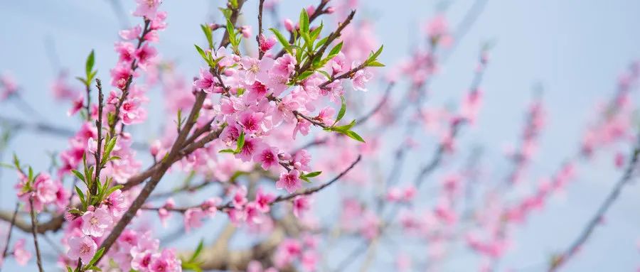 著名的山水田园诗10首，宁静恬淡，美到令人心醉