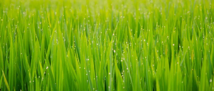 著名的山水田园诗10首，宁静恬淡，美到令人心醉