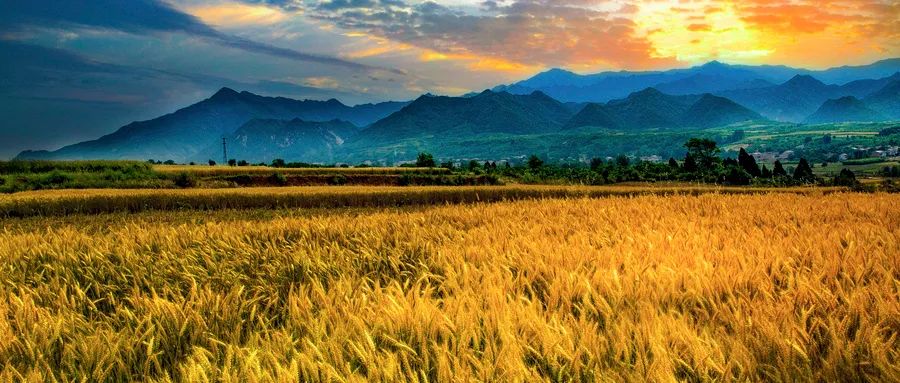 著名的山水田园诗10首，宁静恬淡，美到令人心醉