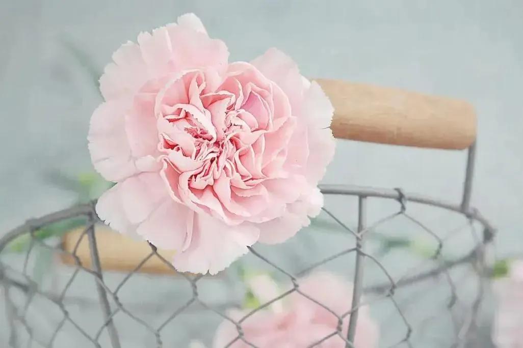 表达母爱的古诗37句，写尽人间至深情